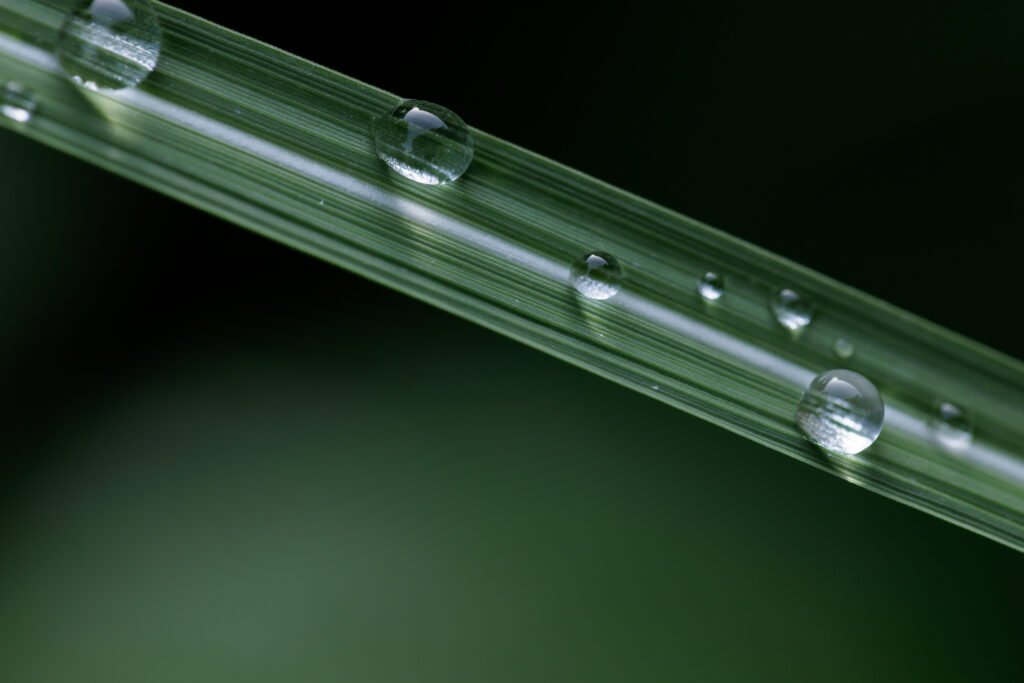 Signs-You-Need-a-New-Laser-Tube